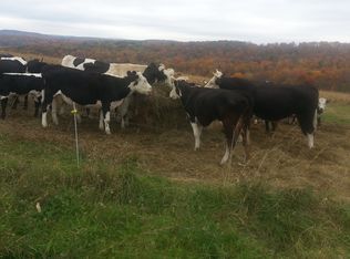 250 Eiklor Rd, Candor, NY 13743