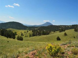 721 Main St, Fairplay, CO 80440