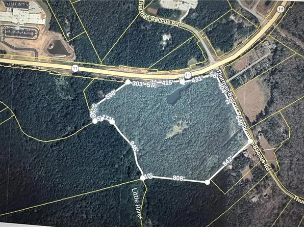 0 Thurman Baccus Rd, Social Circle, GA 30025