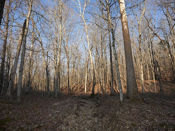 5th image of 4 John Ross Hollow Rd Lot 4