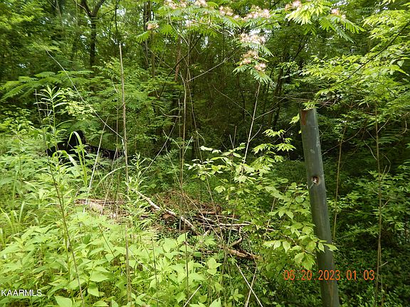 4th image of Toomey Ln
