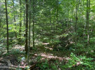 1882ACRE S Obes Branch Rd, Sevierville, TN 37876