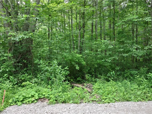 2807 Morningside Ave, Ashtabula, OH 44004