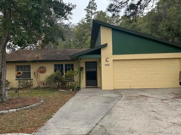 6520 Secrest Ct, Tampa, FL 33625