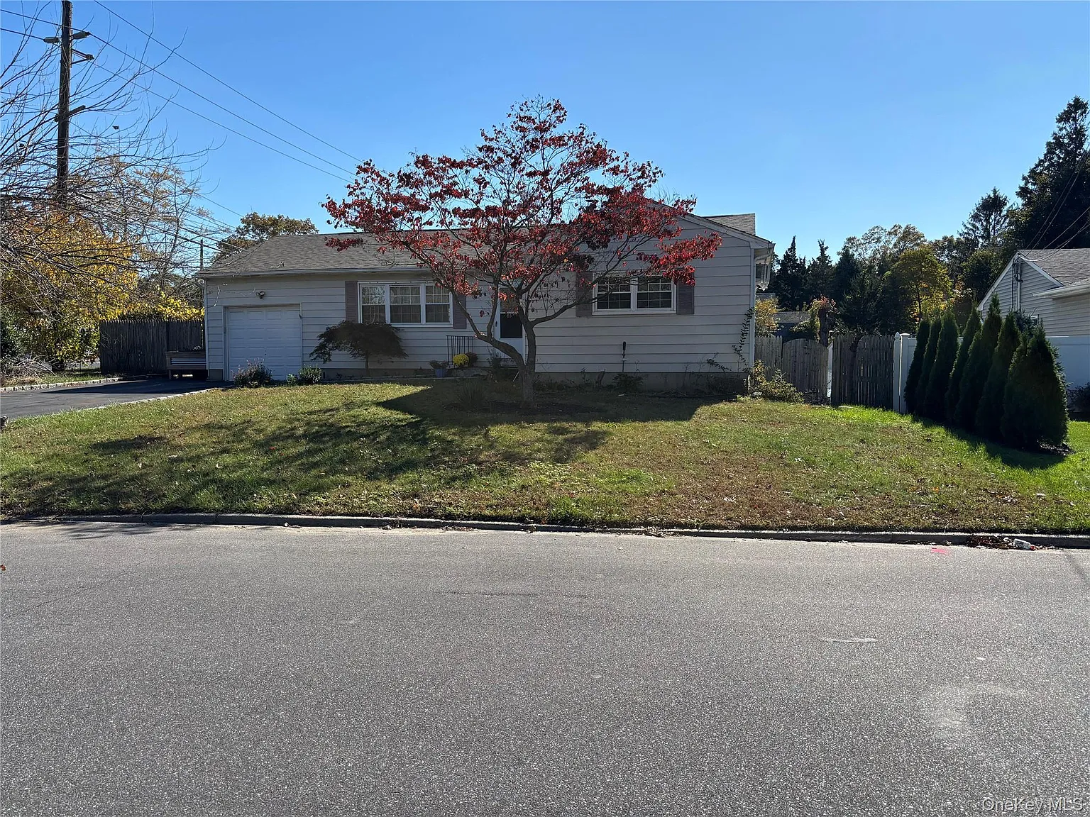 486 Ontario Street photo 1
