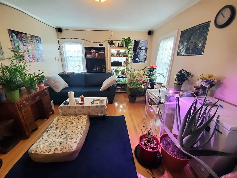 41 Mount Pleasant St #3 — Photo 10