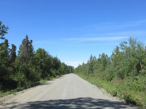 C001 S Leroy Davie's Rd, Talkeetna, AK 99676