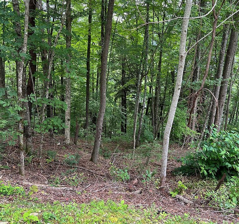 2nd image of Lot3sec3 Rhododendron Dr