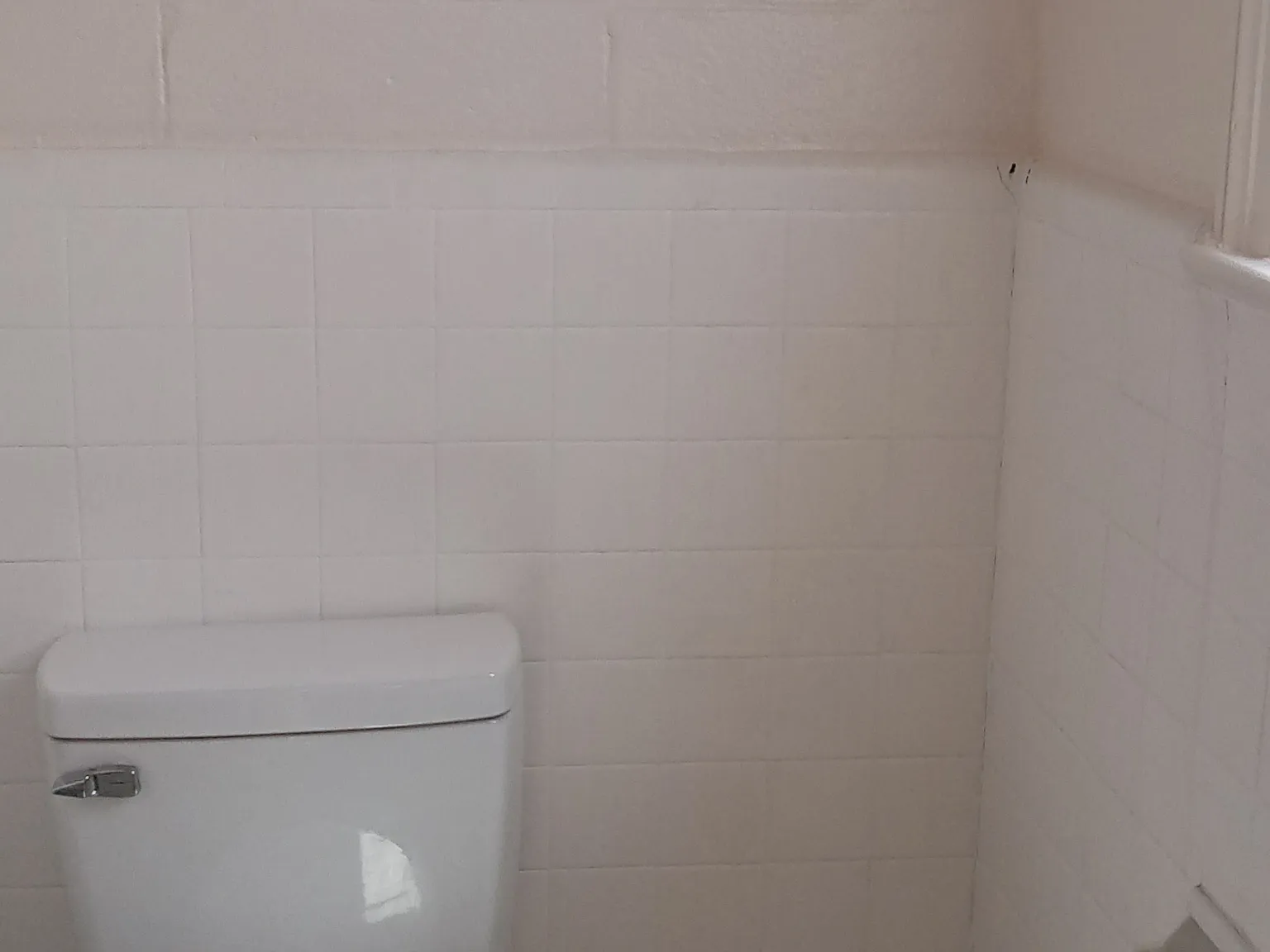 Studio, $799 — Photo 3