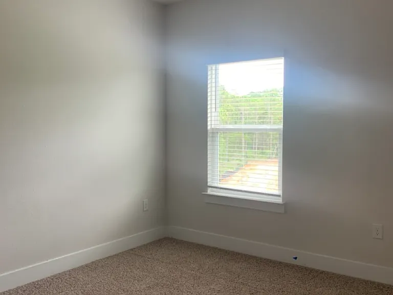 4475 Water Leaf Cv — Photo 10