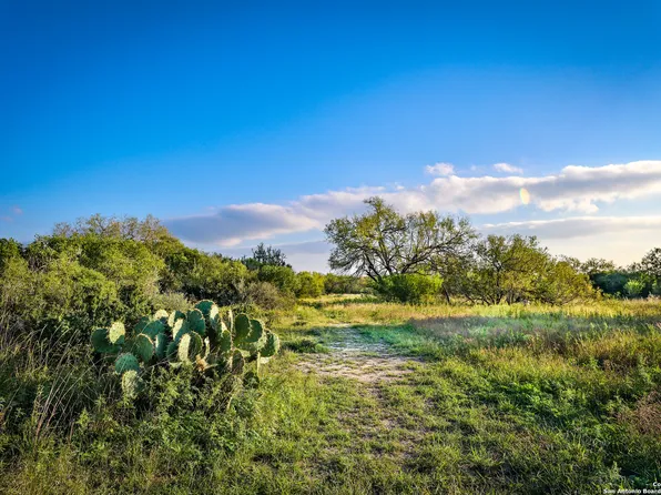 00 County Road 126, George West, TX 78022