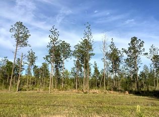 Sandy Loop TRACT 2, Merryville, LA 70653
