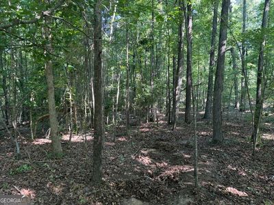 0 Wildwood Ln, Thomson, GA, 30824