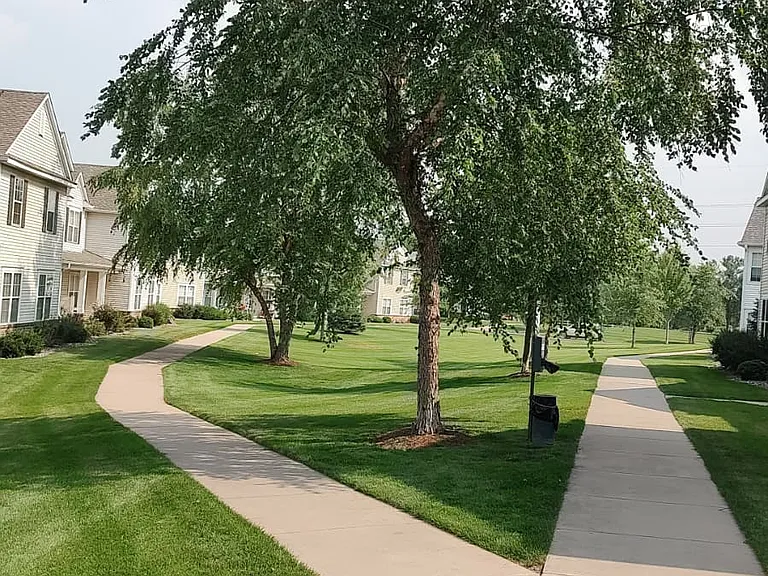 Backyard (full expanse) view
