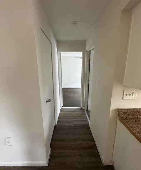 631 Mulberry St #2 — Photo 9
