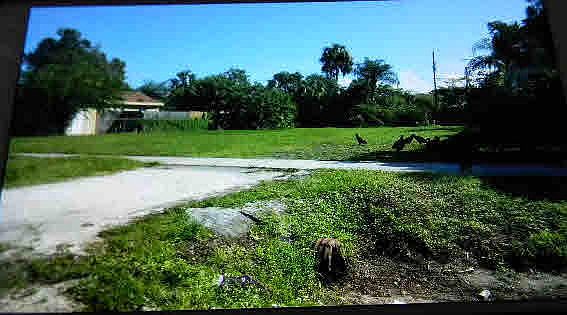 1st image of 15755 SW Osceola St