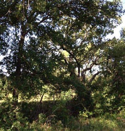 4th image of Mineral Wells Hwy