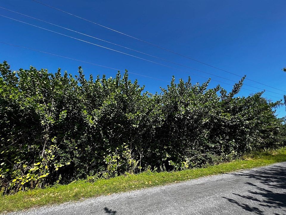 1st image of 2nd Avenue Aloe Lot 1490
