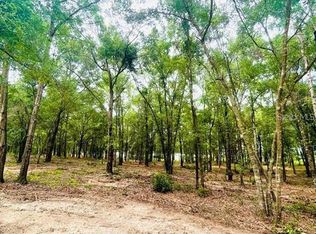 15335 SE 47th Ave, Summerfield, FL 34491