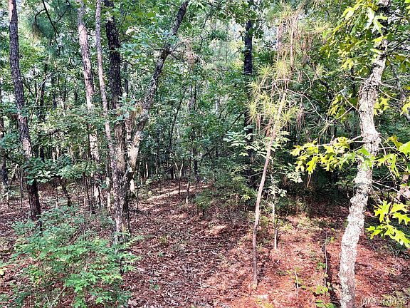 5th image of 1035 Indian Pines Rd