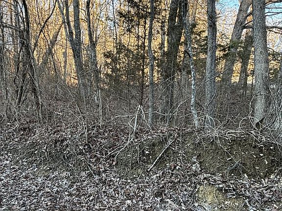 4th image of 1028 S Dogwood Dr