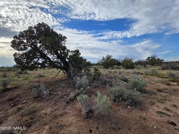 2097 Watchtower Pass, Williams, AZ 86046