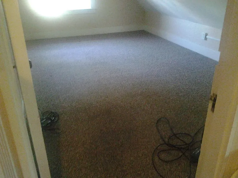 new carpet