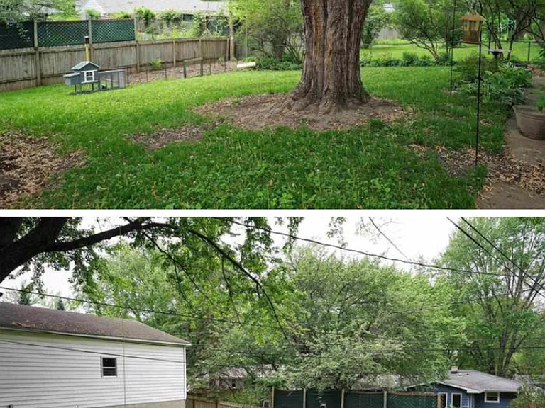 4923 Camden Rd — Photo 4