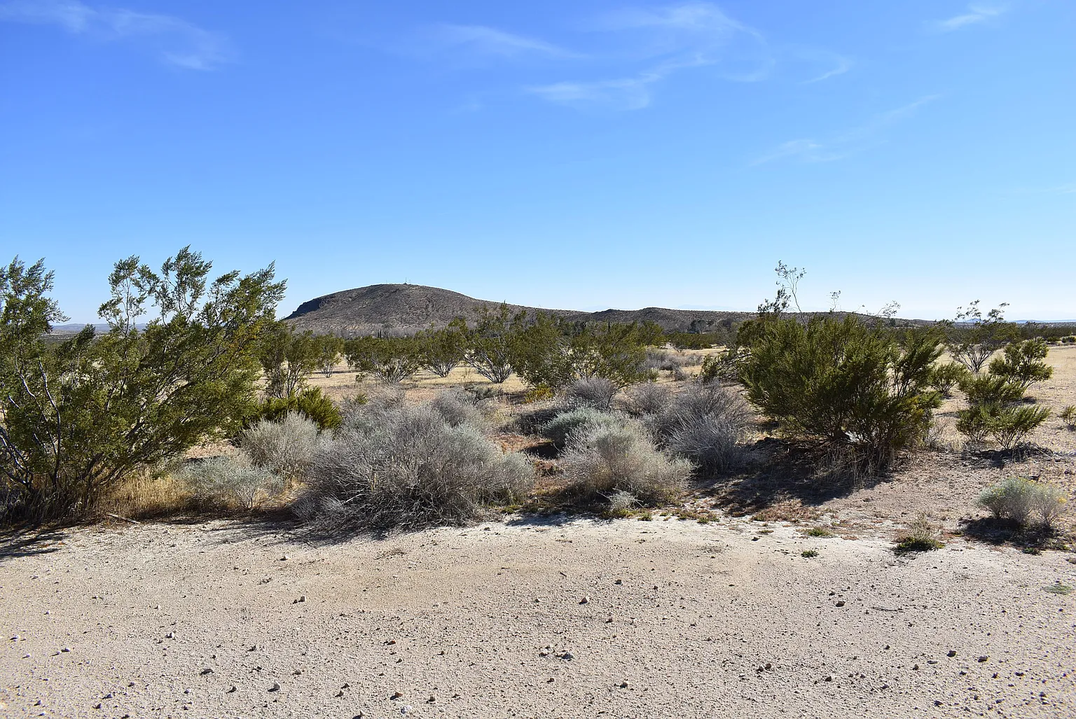 Timlin Way photo 1