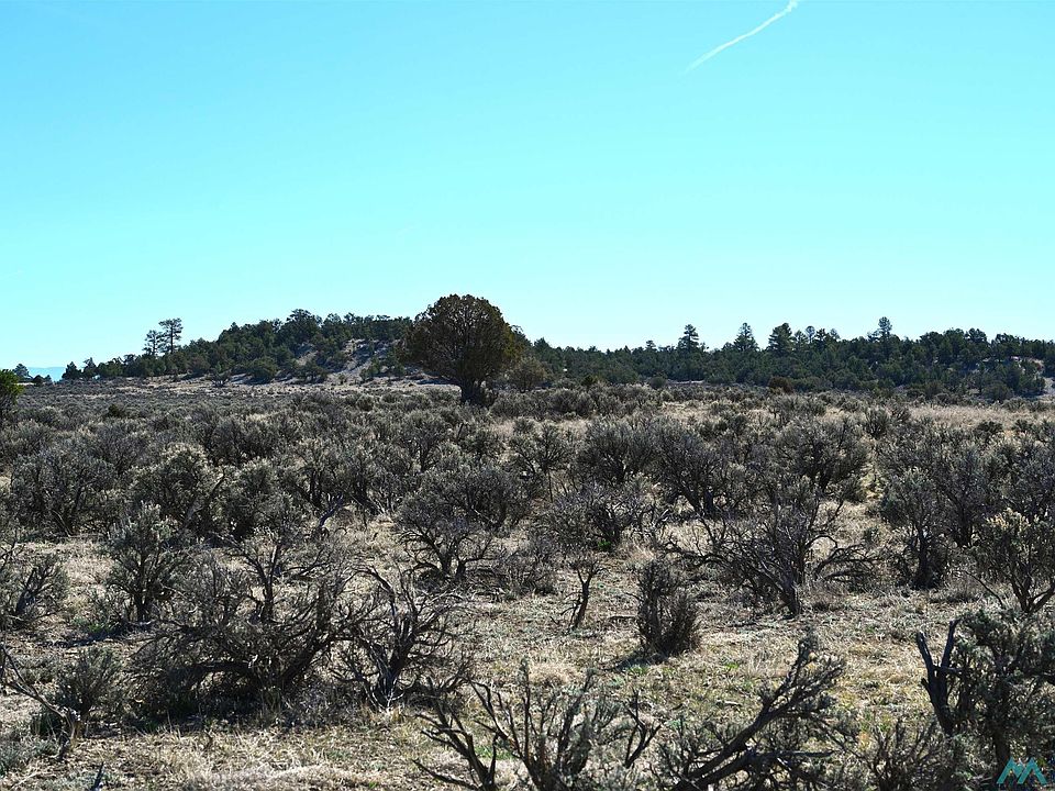 1st image of Pajarito Rd