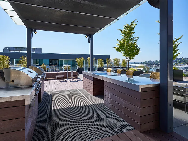 Rooftop Lounge and Grilling Area