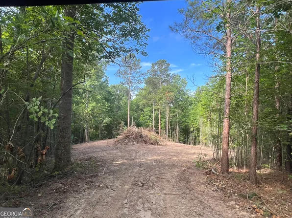 2 Gum Creek Airport Rd, Roopville, GA 30170