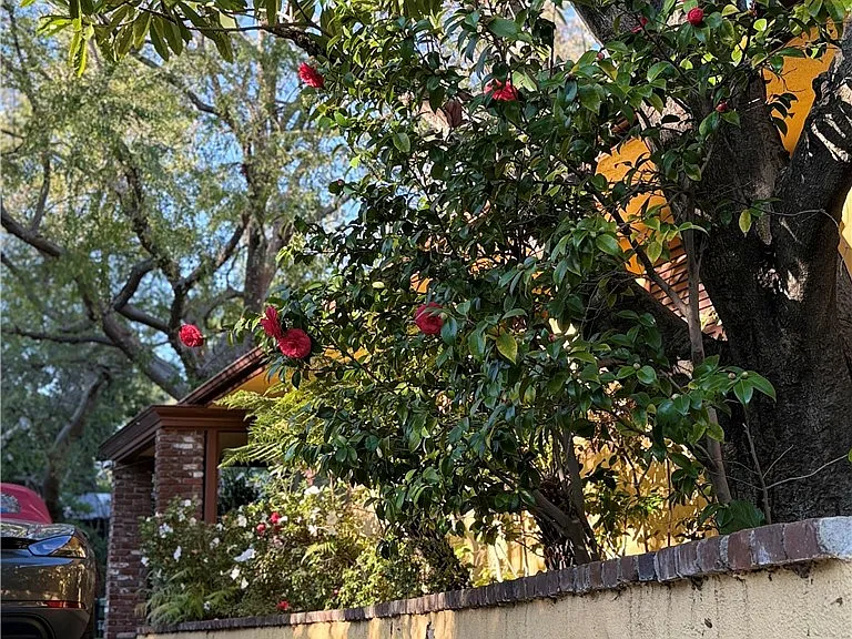 2500 Benedict Canyon Dr — Photo 28