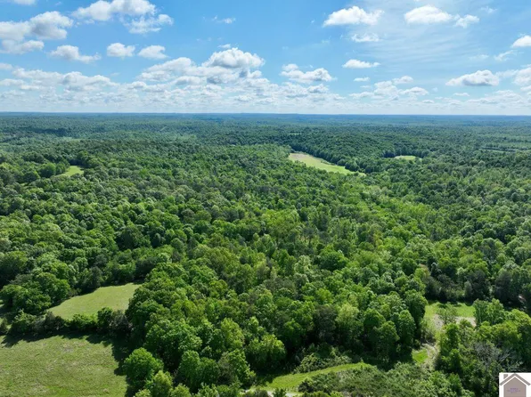 0 Donahue Rd, Princeton, KY 42445