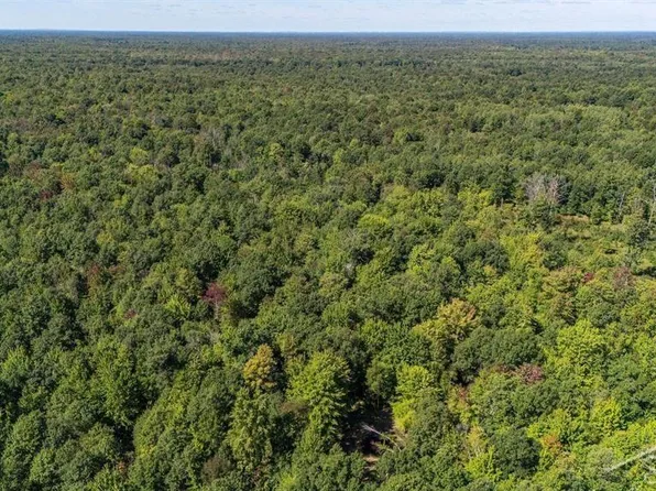 W Olson Rd, Sanford, MI 48657