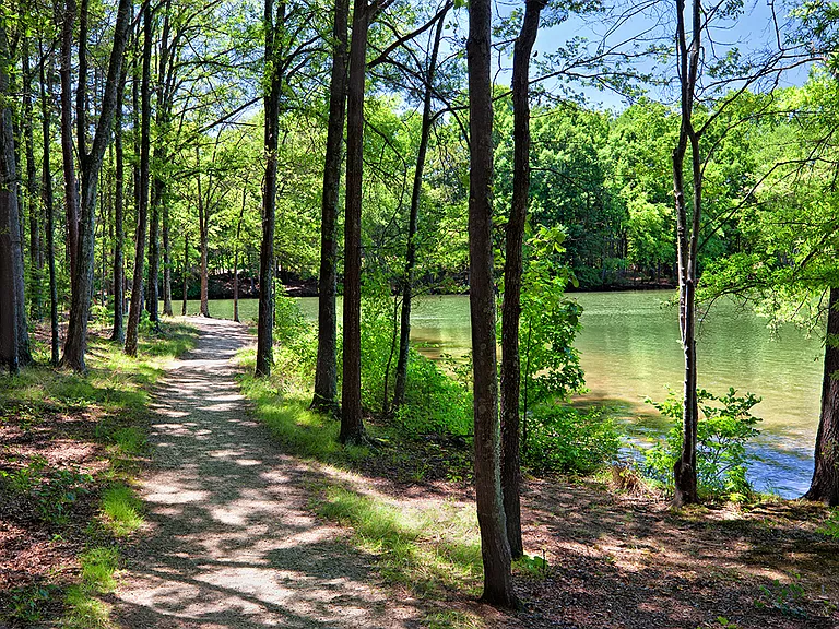 Lakeside Walking Trails