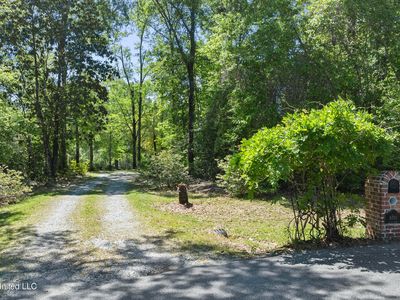 6701 Little Bluff Cv, Vancleave, MS, 39565