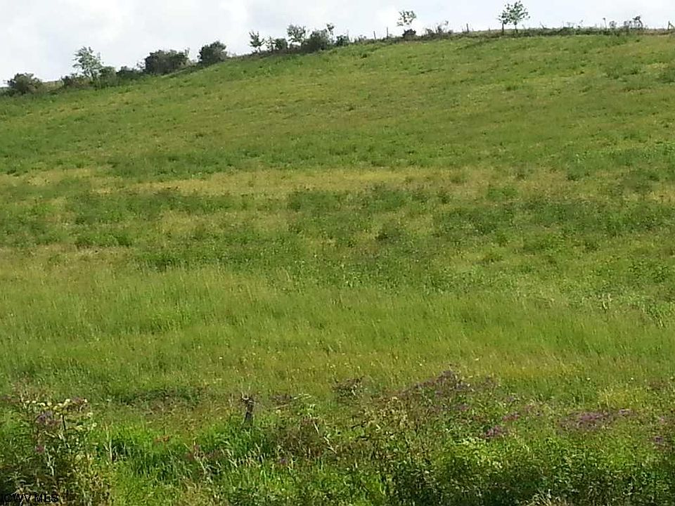 2nd image of Phillips Dairy Rd