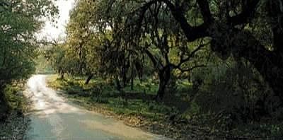 5th image of 142 Istoria Dr