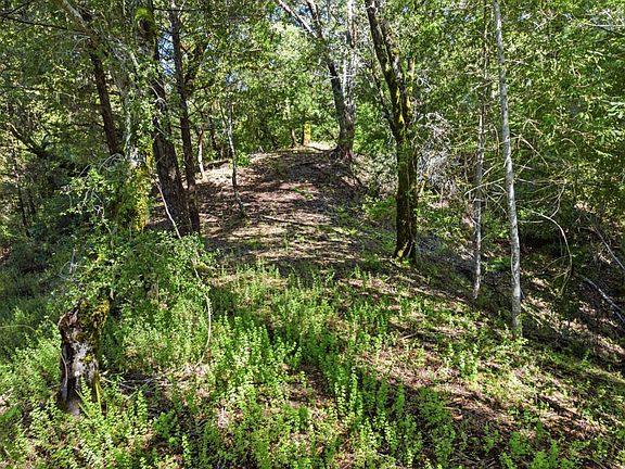 3rd image of 360 Rincon Way