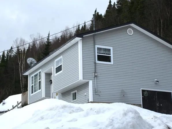 172 Hillview Drive, Cox's Cove, NL A0L1C0