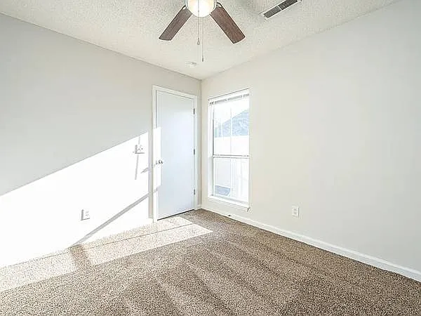 137 Saint Phillips Row — Photo 12