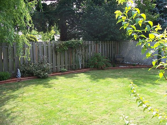 side of the backyard