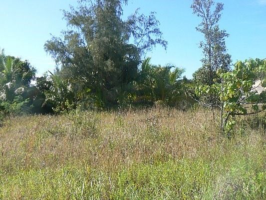 3rd image of Kapohanalu St