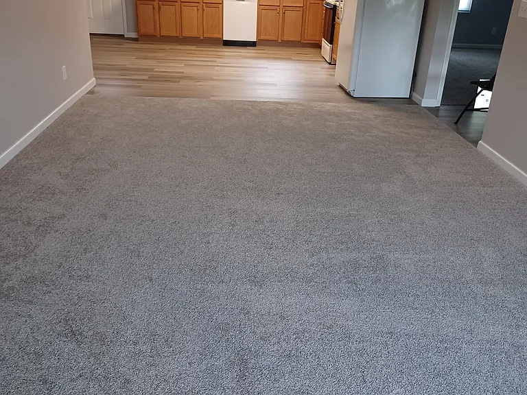 Living Room and Kitchen