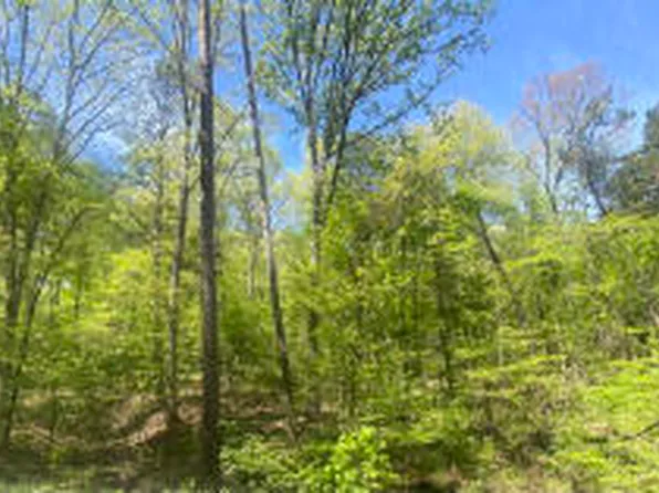 (undisclosed Address), Russellville, AR 72802