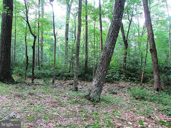5th image of 1765 Bear Meadows Rd