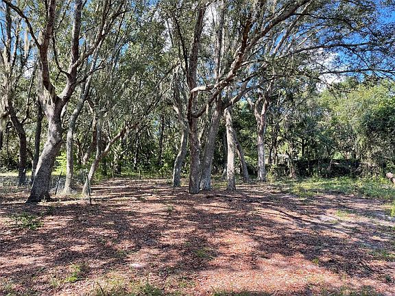 2nd image of 32615 RED OAK DRIVE