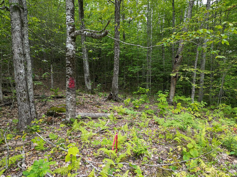 1st image of Lot 32 Bagley Mountain Road