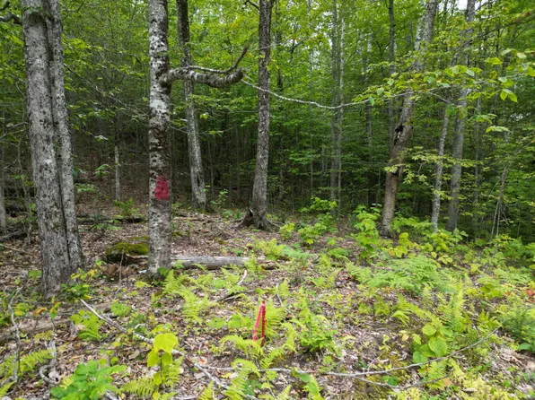 Lot 32 Bagley Mountain Road, Lincoln, ME 04457